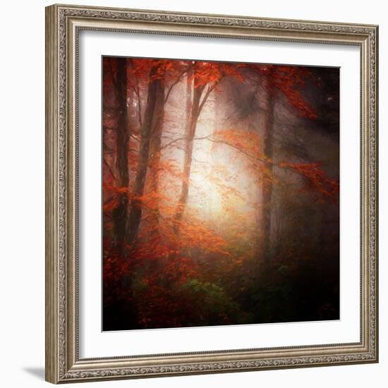 Start-Philippe Sainte-Laudy-Framed Photographic Print