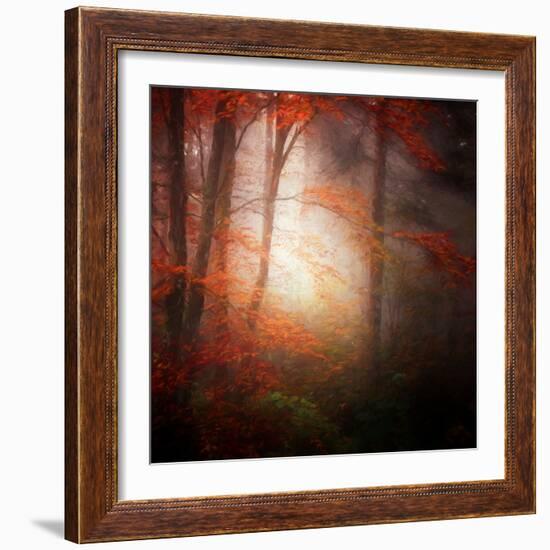 Start-Philippe Sainte-Laudy-Framed Photographic Print