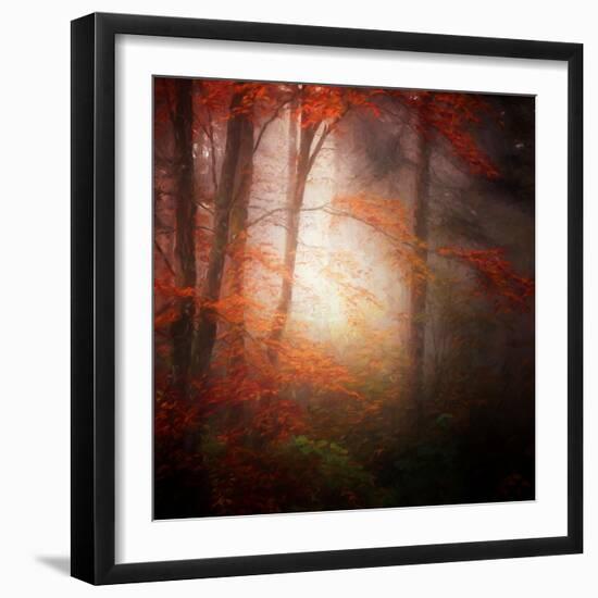 Start-Philippe Sainte-Laudy-Framed Photographic Print