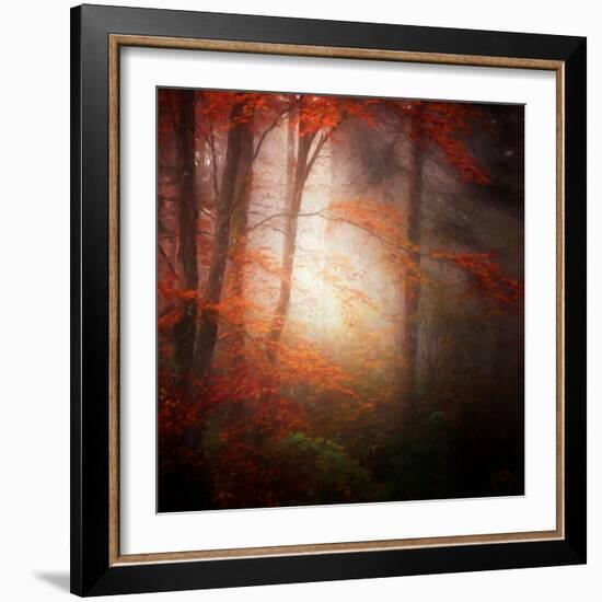 Start-Philippe Sainte-Laudy-Framed Photographic Print