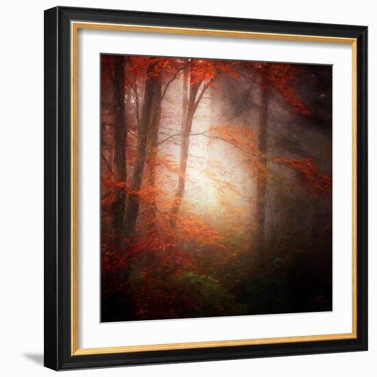 Start-Philippe Sainte-Laudy-Framed Photographic Print