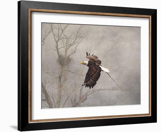 Starting over Bald Eagle-Jai Johnson-Framed Giclee Print