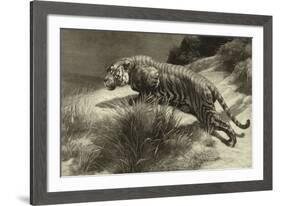 Startled-Herbert Dicksee-Framed Giclee Print