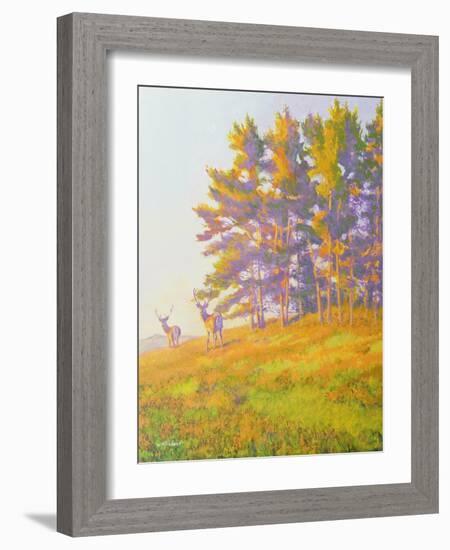 Startled-William Ireland-Framed Giclee Print