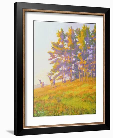 Startled-William Ireland-Framed Giclee Print