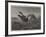 Startled-Harrison William Weir-Framed Giclee Print