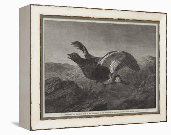 Startled-Harrison William Weir-Framed Premier Image Canvas