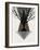 Startree Brown-null-Framed Art Print