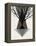 Startree Brown-null-Framed Stretched Canvas