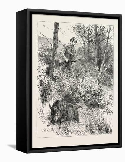 Starts a Pig While Looking for Woodcock, 1884-null-Framed Premier Image Canvas