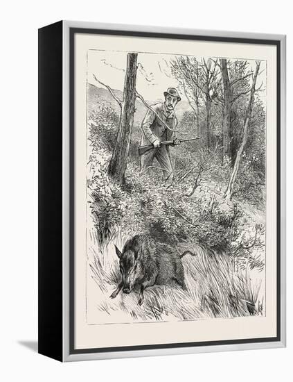 Starts a Pig While Looking for Woodcock, 1884-null-Framed Premier Image Canvas