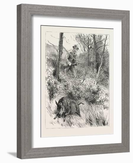 Starts a Pig While Looking for Woodcock, 1884-null-Framed Giclee Print