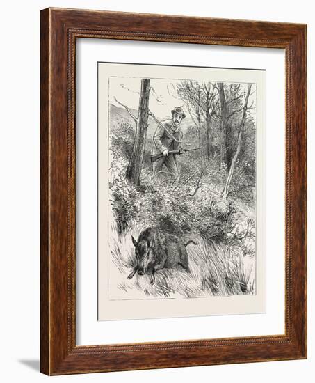 Starts a Pig While Looking for Woodcock, 1884-null-Framed Giclee Print