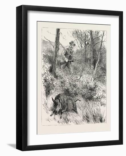 Starts a Pig While Looking for Woodcock, 1884-null-Framed Giclee Print