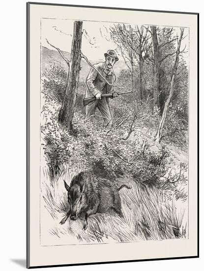 Starts a Pig While Looking for Woodcock, 1884-null-Mounted Giclee Print