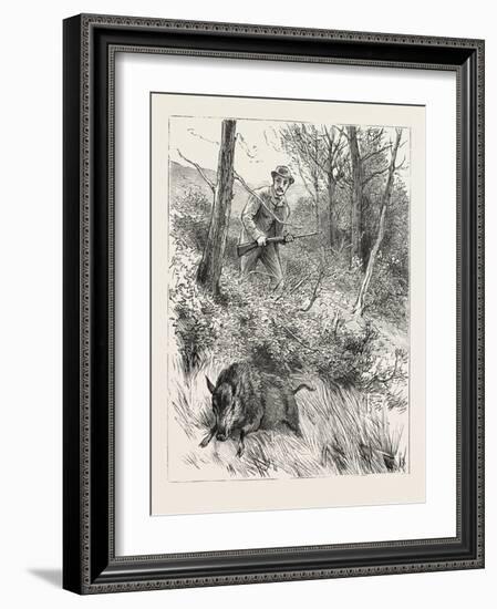 Starts a Pig While Looking for Woodcock, 1884-null-Framed Giclee Print