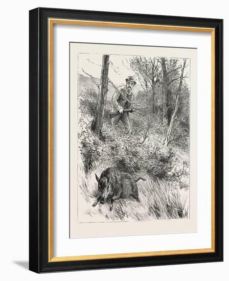 Starts a Pig While Looking for Woodcock, 1884-null-Framed Giclee Print