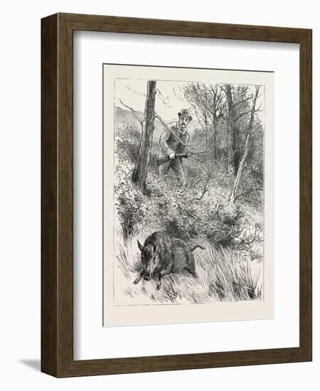 Starts a Pig While Looking for Woodcock, 1884-null-Framed Giclee Print