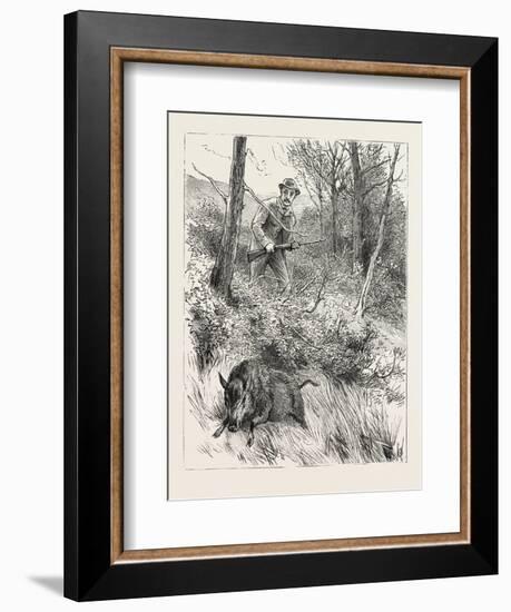 Starts a Pig While Looking for Woodcock, 1884-null-Framed Giclee Print