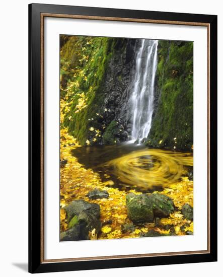 Starvation Creek Falls Creates a Maple Leaf Whirlpool on Water-Steve Terrill-Framed Photographic Print
