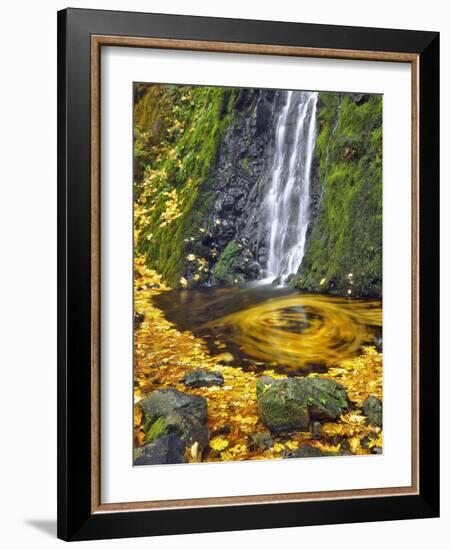 Starvation Creek Waterfall in Fall, Columbia River Gorge, Oregon, USA-Jaynes Gallery-Framed Photographic Print