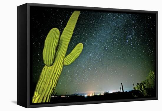 Stary Sky with Saguaro Cactus over Organ Pipe Cactus Nm, Arizona-Richard Wright-Framed Premier Image Canvas