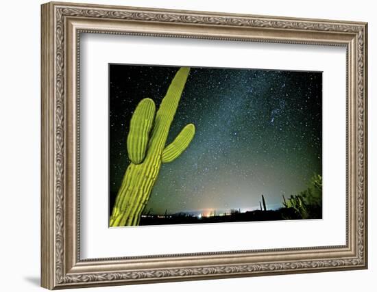 Stary Sky with Saguaro Cactus over Organ Pipe Cactus Nm, Arizona-Richard Wright-Framed Photographic Print