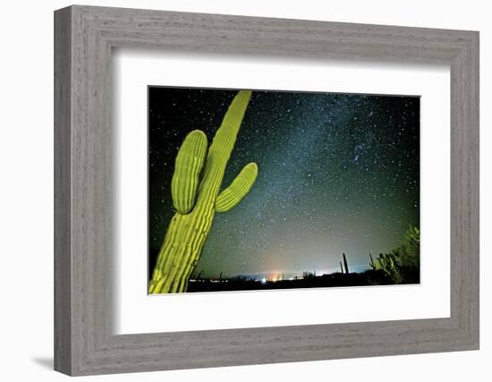 Stary Sky with Saguaro Cactus over Organ Pipe Cactus Nm, Arizona-Richard Wright-Framed Photographic Print