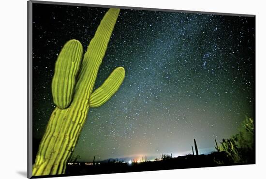 Stary Sky with Saguaro Cactus over Organ Pipe Cactus Nm, Arizona-Richard Wright-Mounted Photographic Print