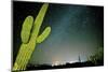 Stary Sky with Saguaro Cactus over Organ Pipe Cactus Nm, Arizona-Richard Wright-Mounted Photographic Print