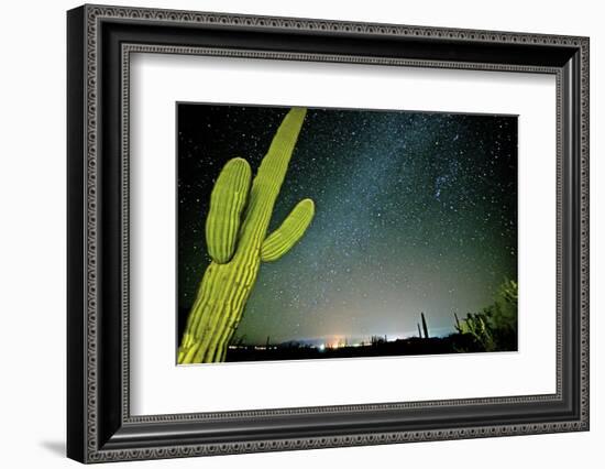 Stary Sky with Saguaro Cactus over Organ Pipe Cactus Nm, Arizona-Richard Wright-Framed Photographic Print