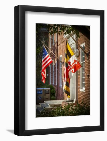 State and National U.S. Flags, Annapolis, Maryland, USA-Christopher Reed-Framed Photographic Print