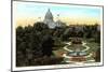 State Capitol and Park, St. Paul, Minnesota-null-Mounted Art Print