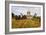 State Capitol Building in Des Moines-benkrut-Framed Photographic Print