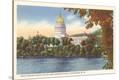 Stretched Canvas Print