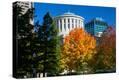 Stretched Canvas Print