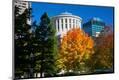 Photographic Print
