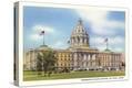 Stretched Canvas Print