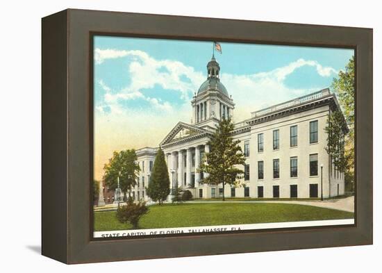 State Capitol, Tallahassee, Florida-null-Framed Stretched Canvas