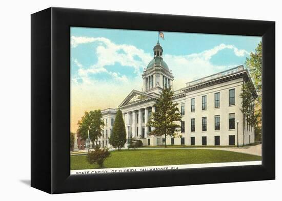 State Capitol, Tallahassee, Florida-null-Framed Stretched Canvas