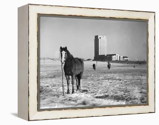 State Capitol-John Vachon-Framed Premier Image Canvas