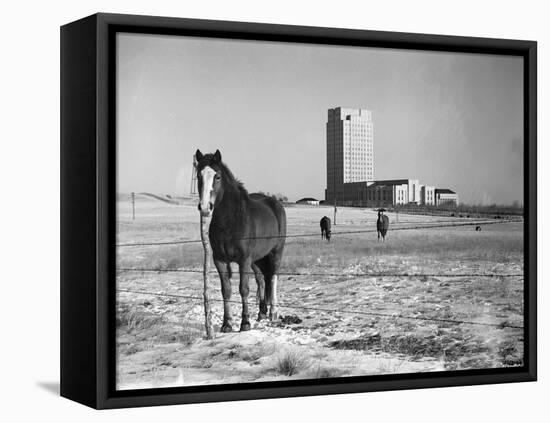 State Capitol-John Vachon-Framed Premier Image Canvas