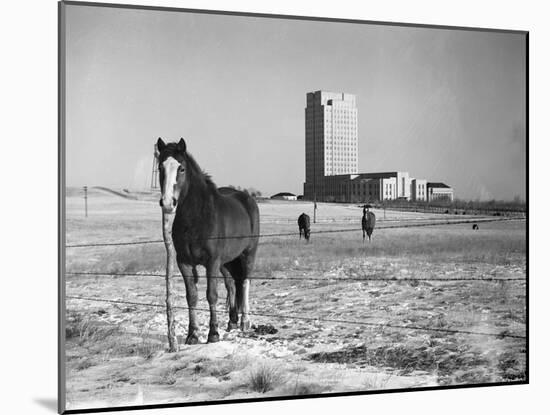 State Capitol-John Vachon-Mounted Photographic Print