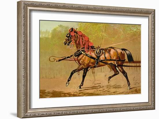 State Carriage Horse-Samuel Sidney-Framed Art Print