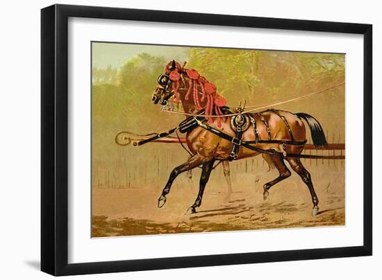 State Carriage Horse-Samuel Sidney-Framed Art Print