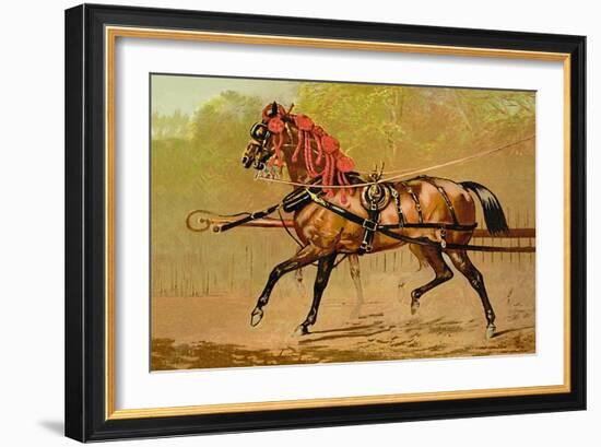 State Carriage Horse-Samuel Sidney-Framed Art Print