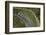 State Highway One at Johnstone's Hill Tunnels, North Auckland, North Island, New Zealand-David Wall-Framed Photographic Print