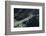 State Highway One at Waiwera Viaduct and Johnstone's Hill Tunnels, North Auckland, New Zealand-David Wall-Framed Photographic Print