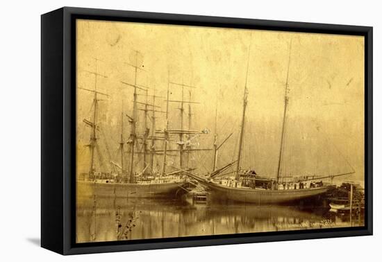 State of Washington Views: Schooner Vine (ca. 1890)-null-Framed Premier Image Canvas