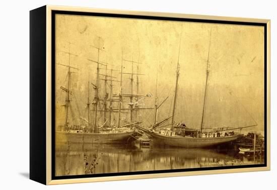 State of Washington Views: Schooner Vine (ca. 1890)-null-Framed Premier Image Canvas